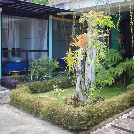 Bromo Ecolodge Exterior photo